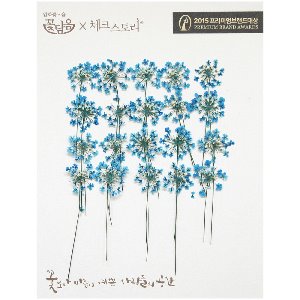 [압화/줄기꽃] 레이스플라워줄기 - 블루(20개)