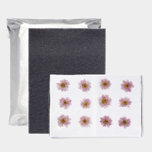 [일본멀티] 압화건조매트- 중(6장) 압화만들기 꽃말리기