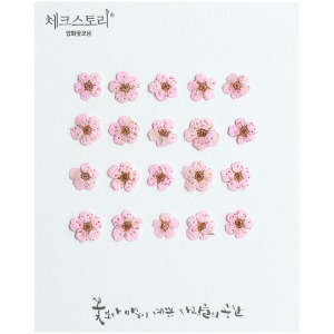 [압화/꽃송이] 조팝-벚꽃핑크(20개)