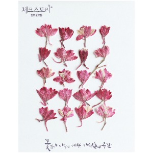 [압화/꽃송이] 락스퍼봉우리-핑크(20개)