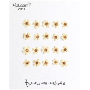 [압화/꽃송이] 조팝-화이트B(20개)