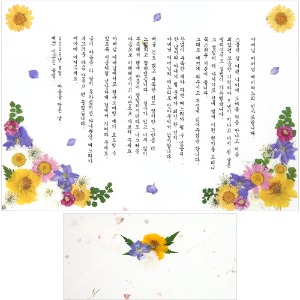 [A4사이즈-DIY] 압화예단편지 - 봄의정원세트